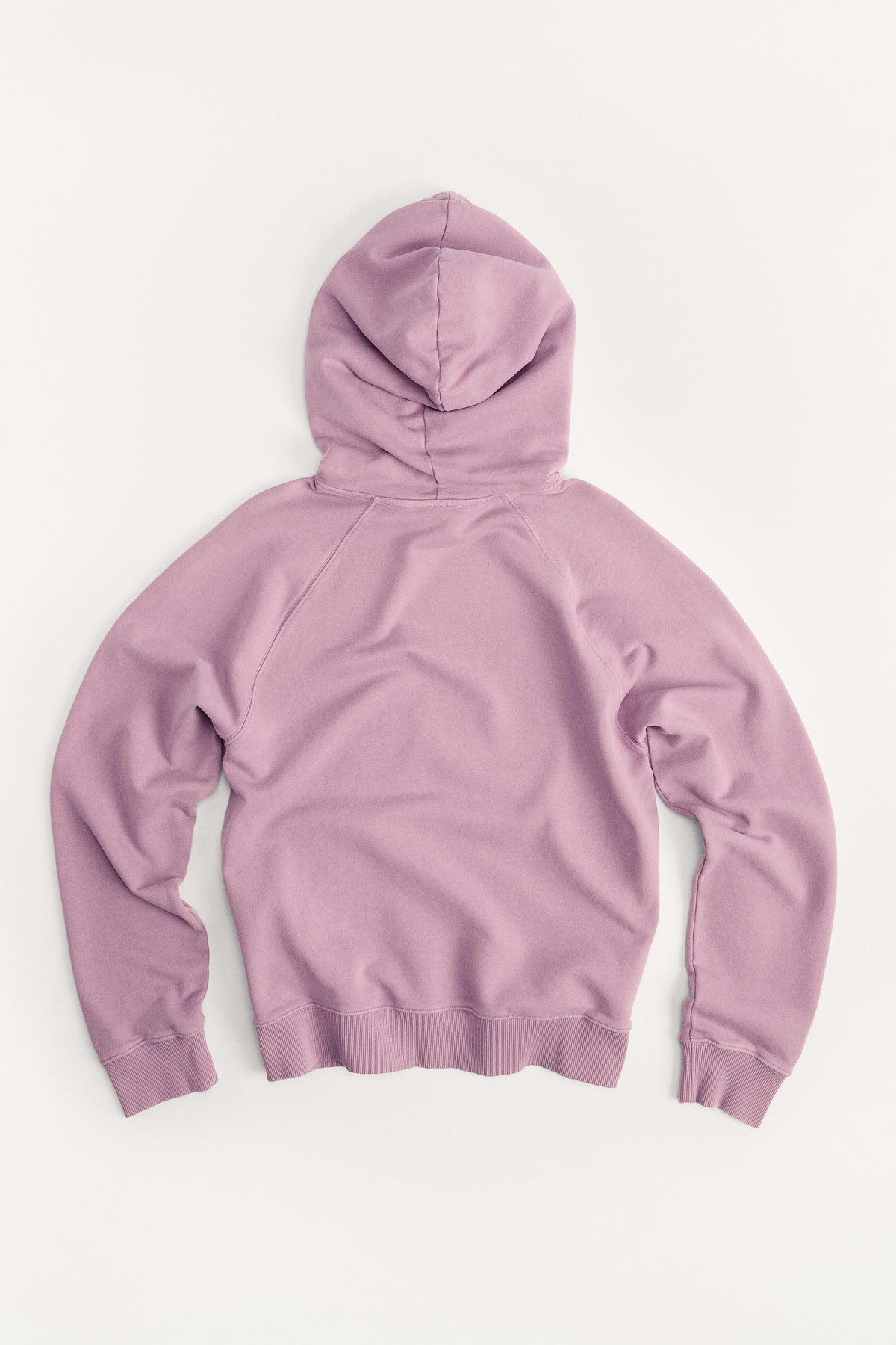 50TH ANNIVERSARY SWEATSHIRT